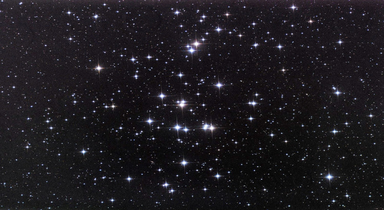 Você recebera textos completos direcionados a sua necessidade